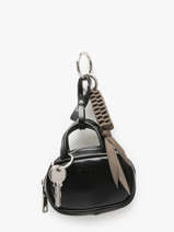 Tashengsel Born Torrow Zwart born TBOR92