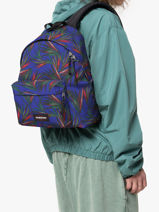 Rugzak Padded Pak
