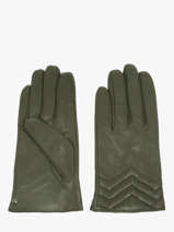 Handschoenen Isotoner Groen women gloves 85359