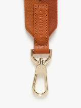 Longchamp Bandouli�re ombr�e Juwelen Bruin-vue-porte
