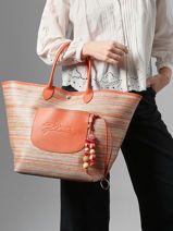 Longchamp Le panier pliage rainbow Schoudertas Veelkleurig-vue-porte