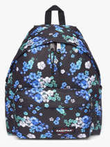 Rugzak Padded Pak