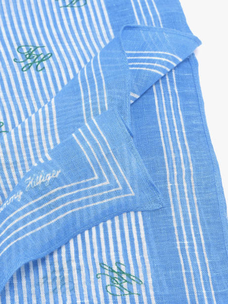 Sjaal Tommy hilfiger Blauw th swim shop AW18346 ander zicht 1