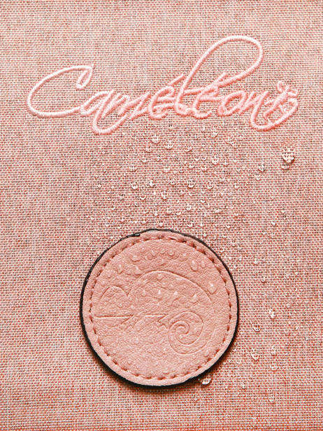 Boekentas 2 Compartimenten Vintage Color Cameleon Roze vintage color CA38 ander zicht 8