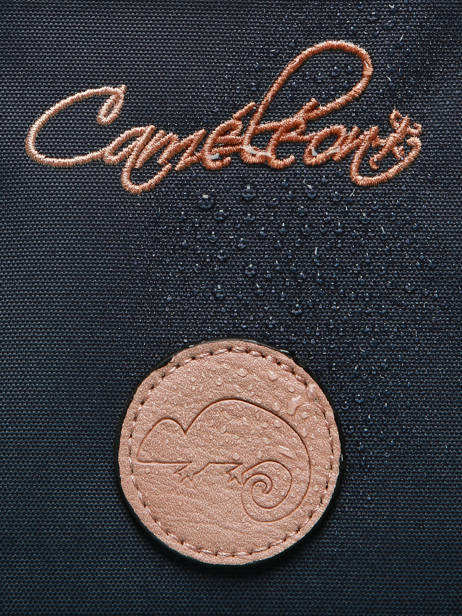 Boekentas Op Wieltjes Kinderen 2 Compartimenten Vintage Fantasy Cameleon Blauw vintage fantasy CR38 ander zicht 9