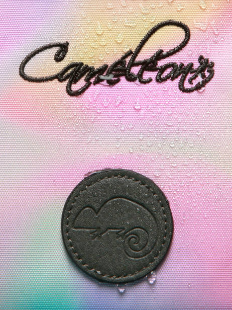 Rugzak 1 Compartiment Vintage Fantasy Cameleon Roze vintage fantasy SD33 ander zicht 8
