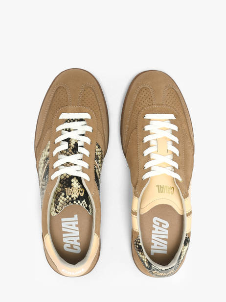 Sneakers Uit Leder Caval Bruin women BAPULS2F ander zicht 3
